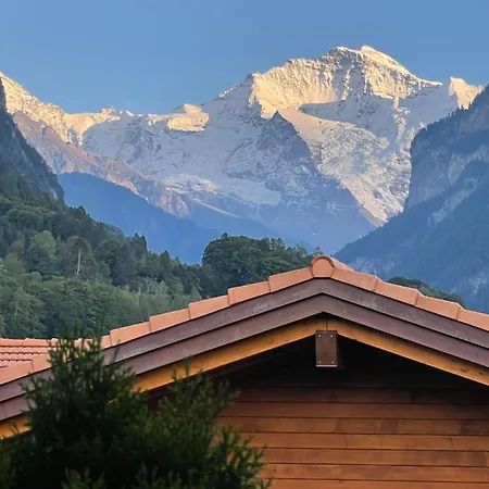 S&P Mountain View Apartment 2 Wilderswil Buitenkant foto