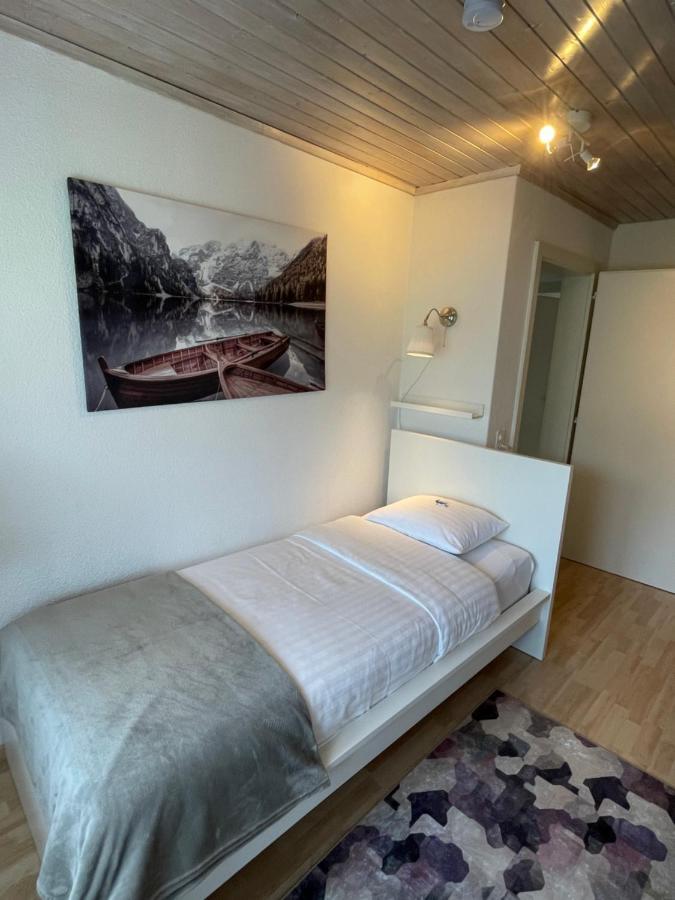 S&p Mountain View 2 Apartment Wilderswil